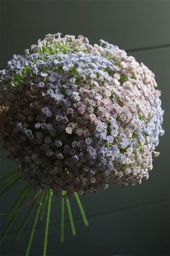 Kaszka Pastella, bukiet kwiatów, dł.45cm 