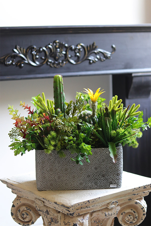 Green Neriata, sukulenty w prostokątnej donicy
