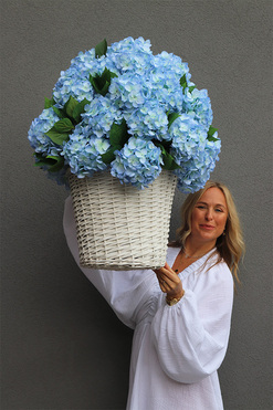 Sky Blue, niebieskie hortensje w plecionym koszu, wys.80cm
