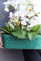 Dark Green Orient, wysokiej jakości sztuczny storczyk	