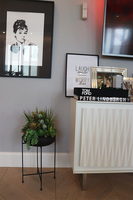 Aldara, kompozycja z sukulentami w donicy na stojaku, wys.64cm