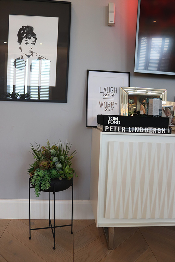 Aldara, kompozycja z sukulentami w donicy na stojaku, wys.64cm