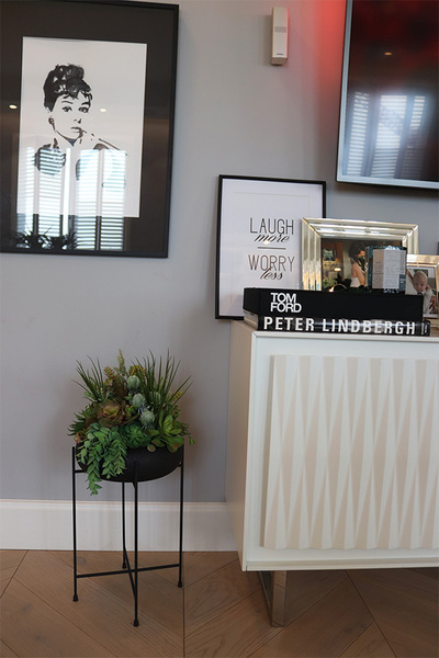 Aldara, kompozycja z sukulentami w donicy na stojaku, wys.64cm