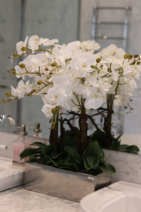 Infinity Eveline, storczyk w lustrzanej donicy