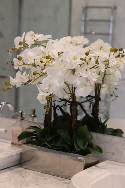 Infinity Eveline, storczyk w lustrzanej donicy