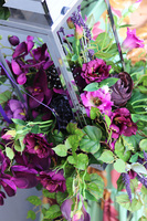 Angelo Garden Purple, kompozycja kwiatowa ze srebrnym lampionem, wys.64cm   