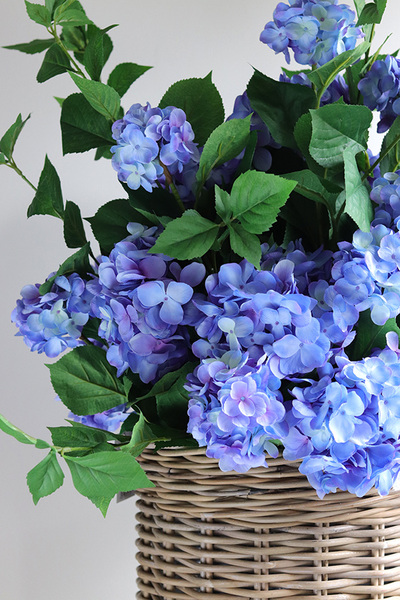 Blue Moon Basket, wiosenna kompozycja roślinna
