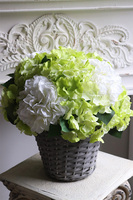 Zielona Magia, bogaty kosz z hortensjami, wys.45cm