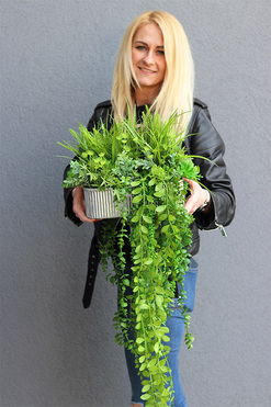 Hillton Green 2, kompozycja sukulenty w srebrnej donicy, wys.32cm