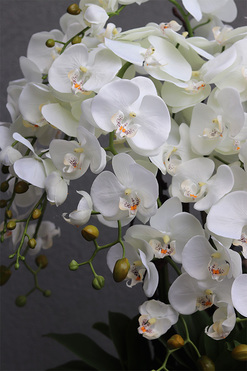 Silver Milenia, sztuczny storczyk w lustrzanej donicy, wys.74cm