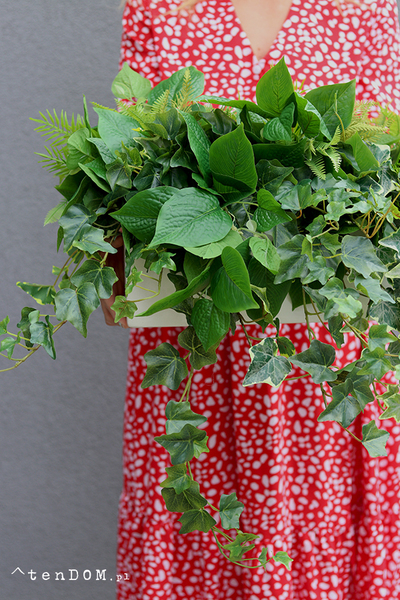 Green Glamour, kompozycja sukulenty w okrągłej donicy