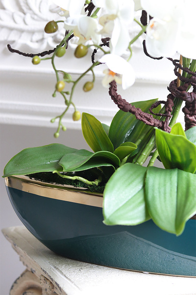 Turkusina Laos, elegancki storczyk w zielonej donicy glamour