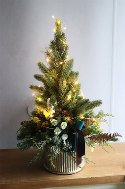 Deluxe Silver S, choinka świąteczna w donicy LED, wys.49cm