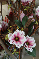 Magnolia Silveria, sztuczne drzewko w donicy