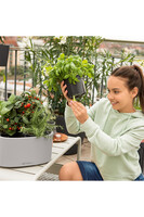 Pila donica z nawadnianiem misa Lechuza tendom.pl