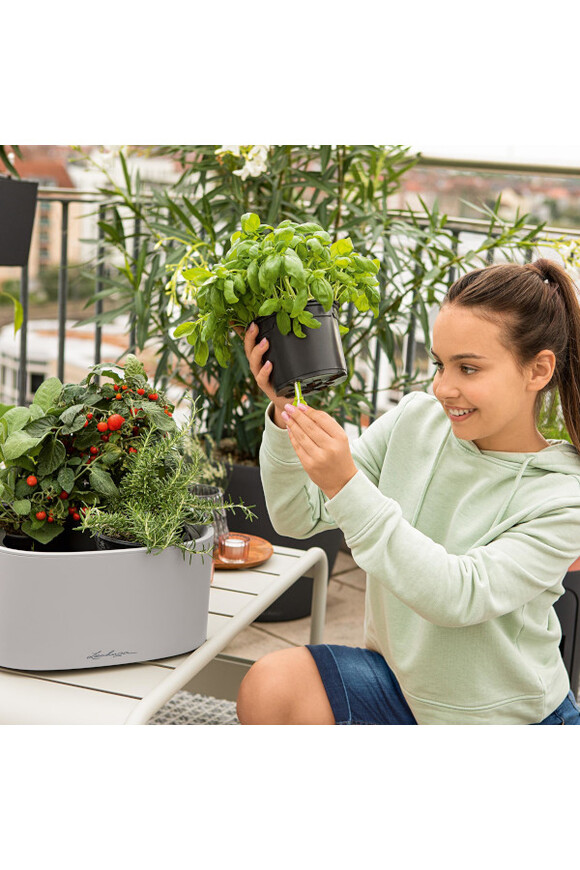 Pila donica z nawadnianiem misa Lechuza tendom.pl