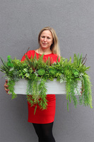 Green Delina, kompozycja sukulenty do twojej donicy, wym.44x85x35cm