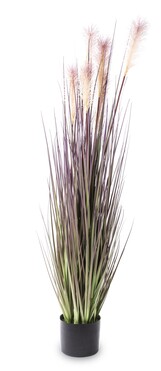 sztuczna trawa Pióropusze, róż, wys.120cm