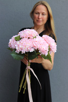 bukiet różowych hortensji, Lalandia, 5szt, dł.60cm