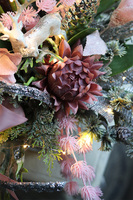 elegancki storczyk zimowy, Pudrovy Klimat, wys.66cm