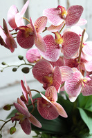 Klemina Granada, gumowy storczyk w ażurowej donicy, wys.58cm