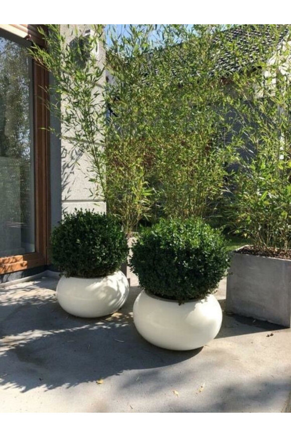 Fiberglass donica Belezza Cashmir