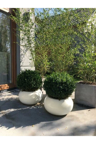 Fiberglass donica Belezza Cashmir