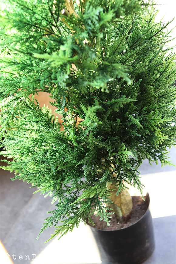 Cyprys, sztuczna roślina w doniczce