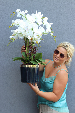 OD RĘKI Navy Natural, storczyk w granatowym naczyniu, wys.72cm