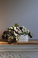 Begonia Asian Tundra, roślina doniczkowa w białej osłonce