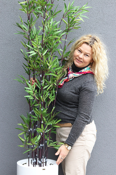 Bambus Fiberglass, sztuczna roślina w białej donicy