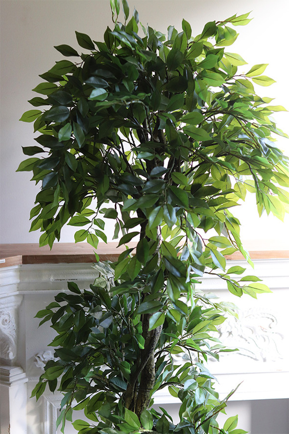 Fikus Benjamin F Gold Line, sztuczna roślina w metalowej donicy