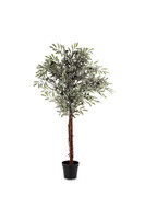 Oliwka C, sztuczna roślina / drzewko oliwne, wym.125x65x65cm