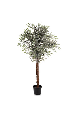 Oliwka C, sztuczna roślina / drzewko oliwne, wym.125x65x65cm