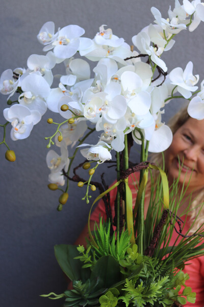 Mediolan Suculenti, storczyk w donicy z sukulentami