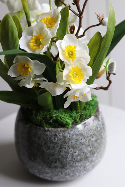  Narcyzolia kompozycja wiosenna z żonkilami