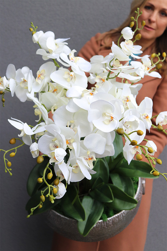 efektowny storczyk w metalowej misie, Ferrata Big 2