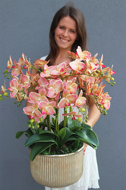 gumowy storczyk sztuczny Nellia, wys.62cm