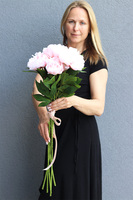 bukiet różowych peonii, Lalandia, 5szt, dł.85cm