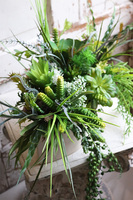 Gretada Manfredo, sukulenty w kremowej donicy