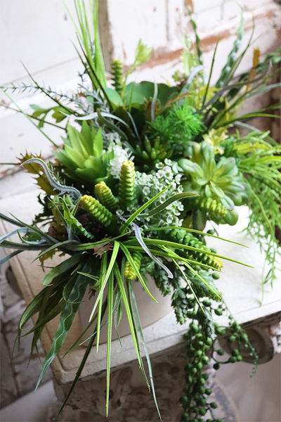 Gretada Manfredo, sukulenty w kremowej donicy