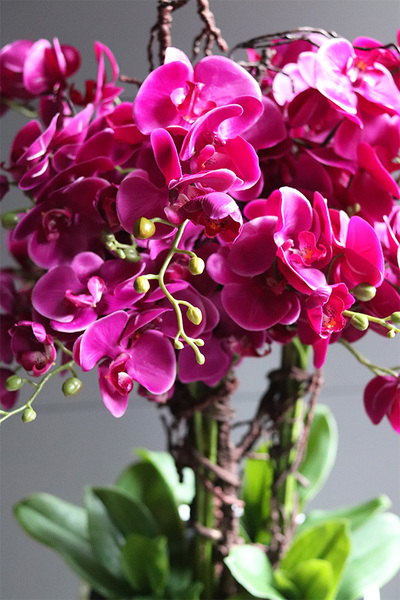 Gizelle Fuksja, wysoki sztuczny storczyk w białej donicy