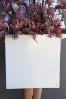 Violetera Fiberglass, sukulenty ze strelicjami w białej donicy