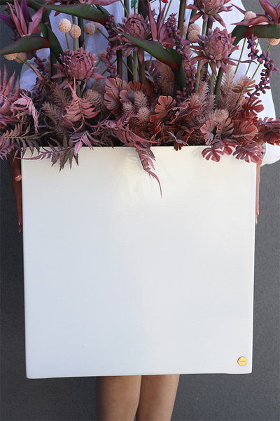 Violetera Fiberglass, sukulenty ze strelicjami w białej donicy