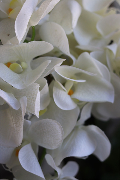 Manfredo White Silicone, gumowy storczyk w białej donicy, wys.71cm