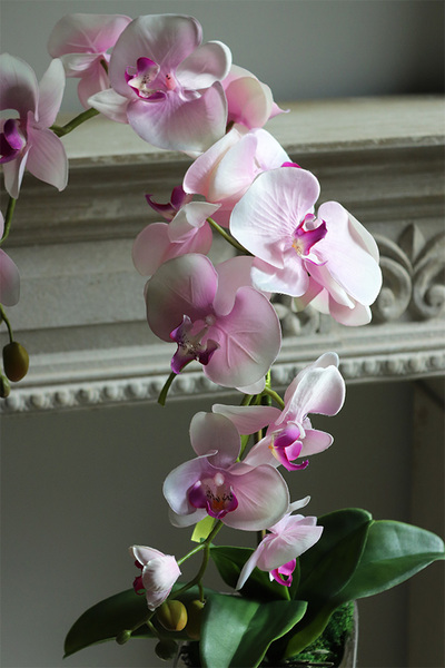 Nemisto, różowy storczyk w biało-srebrnej donicy, wys.65cm 