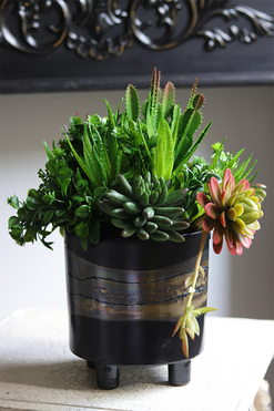 Polena, sukulenty w nowoczesnej donicy, wys.33cm