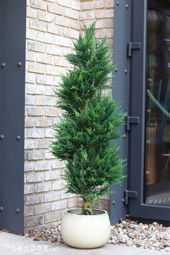 Cyprys Ares Cream, sztuczna roślina w doniczce, wys.145cm