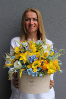 Żółte Żonkile, wiosenny flowerbox