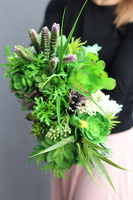 Freja, kompozycja sukulenty w białej donicy